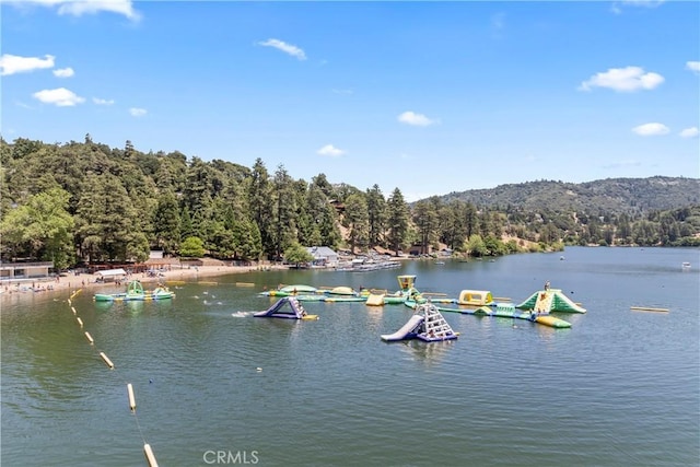 423 Thousand Pines Rd, Crestline, CA 92325 - water view with a forest