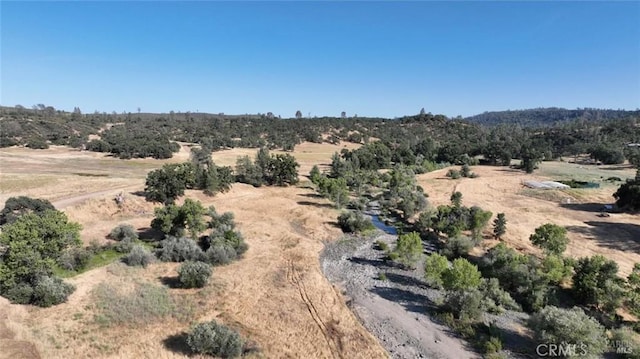 22629 Jerusalem Grade, Lower Lake, CA 95457 - photo 10