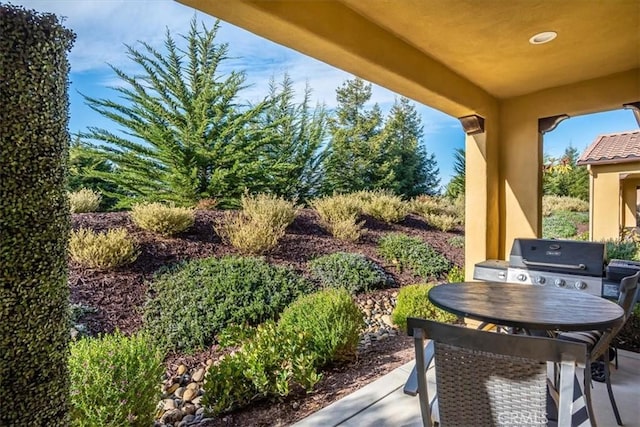 1170 Spring Azure Way Unit 45, Nipomo, CA 93444 - view of patio with outdoor dining area and grilling area