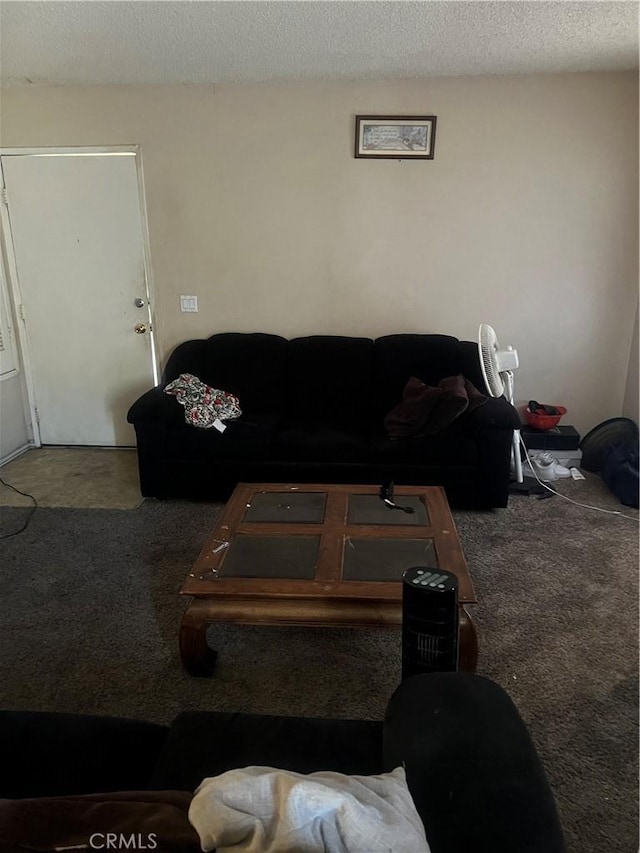 1025 N Tippecanoe Ave Unit 238, San Bernardino, CA 92410 - living area with carpet and a textured ceiling