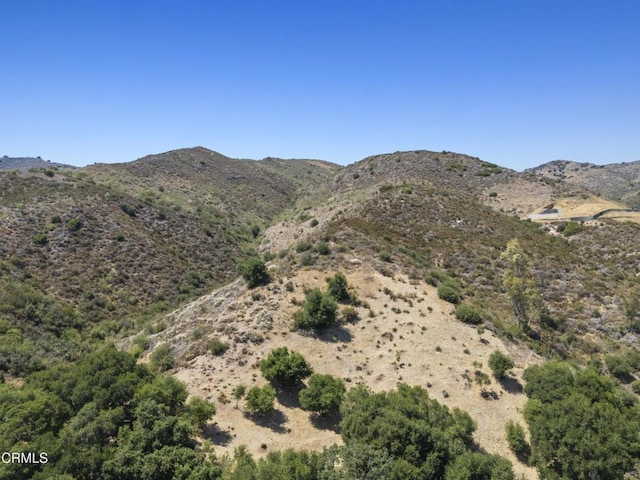 2547 Stokes Canyon Rd, Calabasas, CA 91302 - photo 45