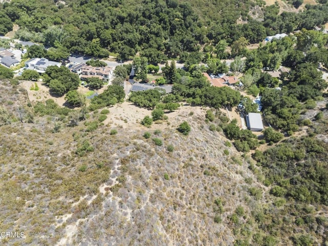 2547 Stokes Canyon Rd, Calabasas, CA 91302 - photo 50