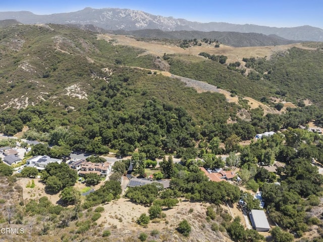 2547 Stokes Canyon Rd, Calabasas, CA 91302 - photo 49