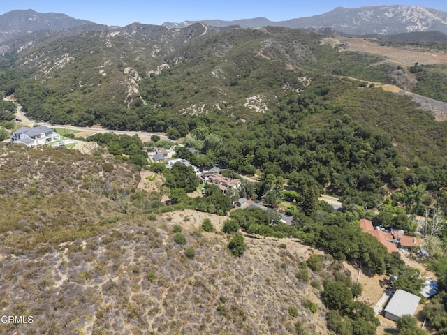 2547 Stokes Canyon Rd, Calabasas, CA 91302 - photo 47