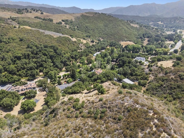2547 Stokes Canyon Rd, Calabasas, CA 91302 - photo 48