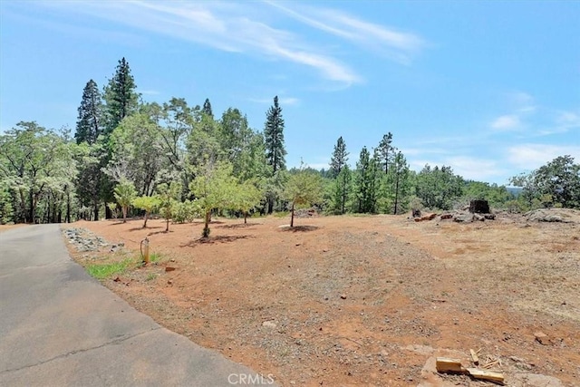 10784 Cole Way, Grass Valley, CA 95945 - view of yard