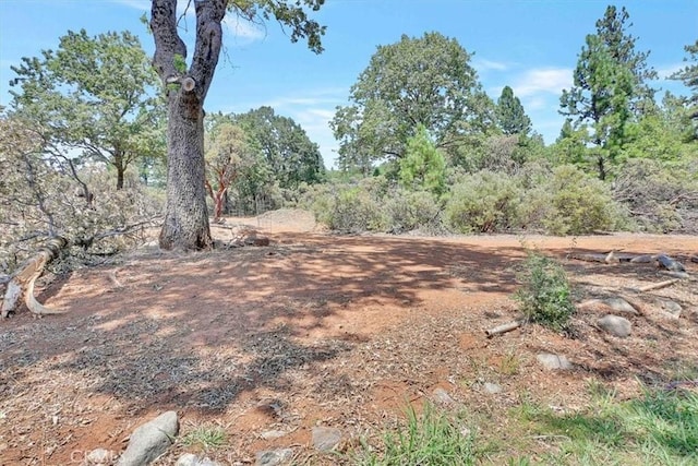 10784 Cole Way, Grass Valley, CA 95945 - view of yard