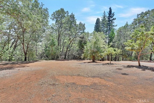 10784 Cole Way, Grass Valley, CA 95945 - view of yard