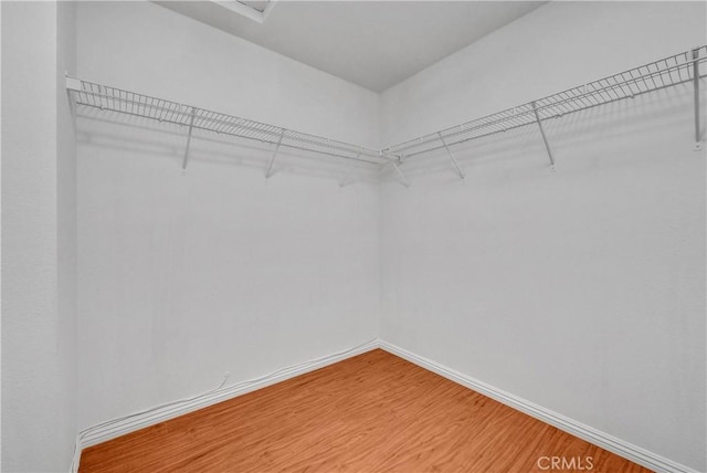 4564 Vincent Way, Riverside, CA 92501 - walk in closet with light wood-type flooring