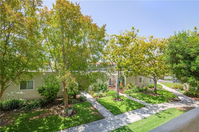 2164 Via Mariposa E Unit D, Laguna Woods, CA 92637 - obstructed view of property featuring a front yard and stucco siding