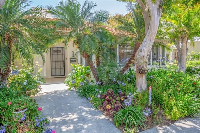 2164 Via Mariposa E Unit D, Laguna Woods, CA 92637 - property entrance