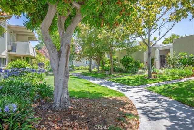 2164 Via Mariposa E Unit D, Laguna Woods, CA 92637 - surrounding community featuring a lawn