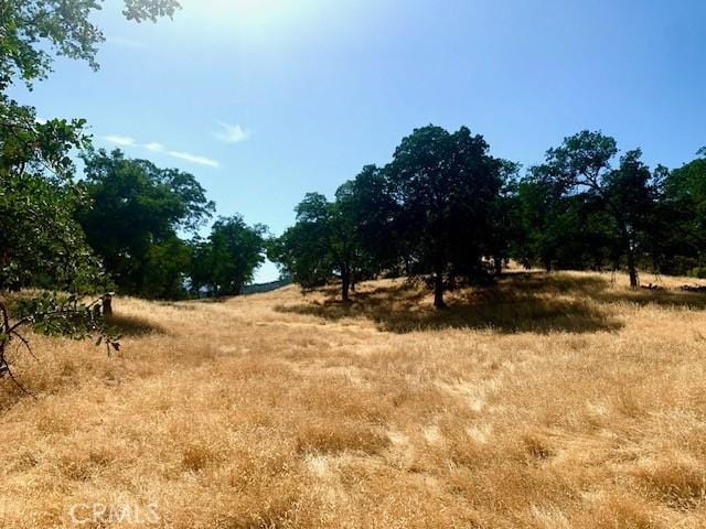 10455 Sky High Ridge Rd, Lower Lake, CA 95457 - photo 11