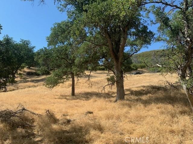 10455 Sky High Ridge Rd, Lower Lake, CA 95457 - photo 8