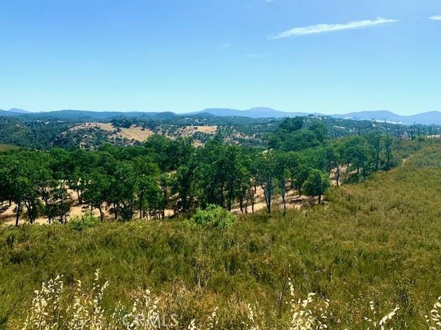 10455 Sky High Ridge Rd, Lower Lake, CA 95457 - photo 4