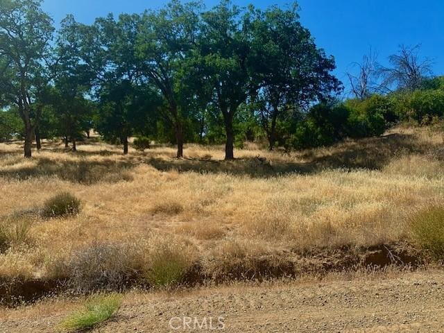 10455 Sky High Ridge Rd, Lower Lake, CA 95457 - photo 15