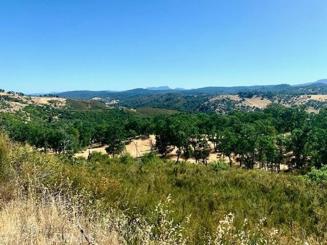 10455 Sky High Ridge Rd, Lower Lake, CA 95457 - photo 14