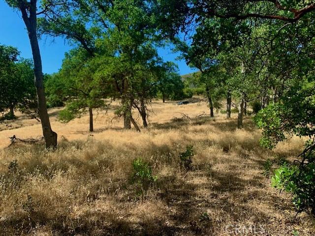 10455 Sky High Ridge Rd, Lower Lake, CA 95457 - photo 9