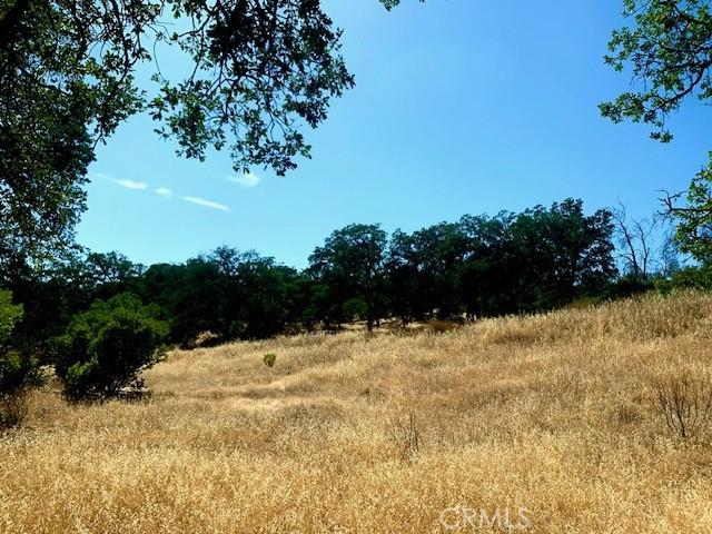 10455 Sky High Ridge Rd, Lower Lake, CA 95457 - photo 16