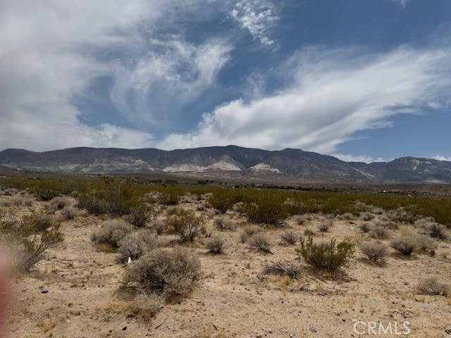 36160 Palm Rd, Lucerne Valley, CA 92356 - photo 11