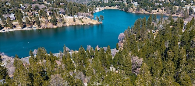 24333 Horst Dr, Crestline, CA 92325 - photo 40