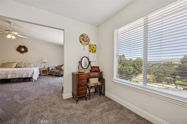 9230 Las Lomas Ave, Atascadero, CA 93422 - carpeted bedroom with multiple windows