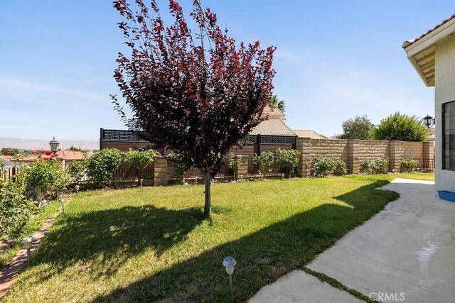 13685 Sierra Vista Dr, Victorville, CA 92395 - photo 47