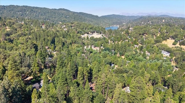 25086 Boa Dr, Crestline, CA 92325 - aerial view of property's location with a forest and a mountain backdrop
