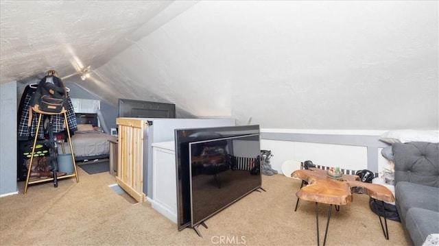 25086 Boa Dr, Crestline, CA 92325 - additional living space with carpet floors and lofted ceiling
