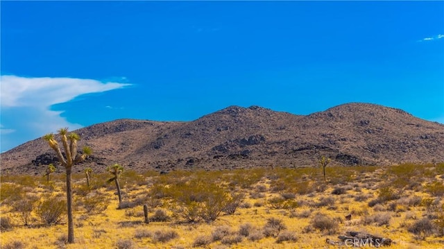 0 Alta Ave, Yucca Valley, CA 92284 - photo 2