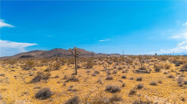 0 Alta Ave, Yucca Valley, CA 92284 - photo 14