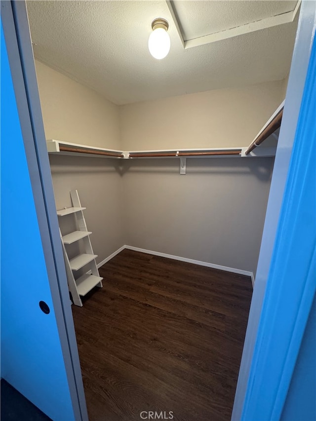 261 Spruce St Unit B, Arroyo Grande, CA 93420 - walk in closet featuring dark wood finished floors