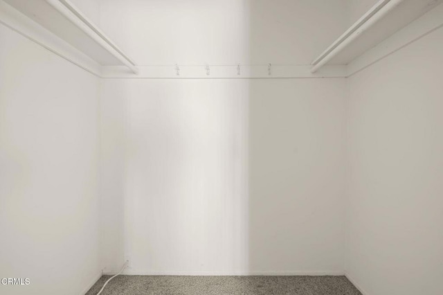 1543 Mobil Ave, Camarillo, CA 93010 - spacious closet with carpet