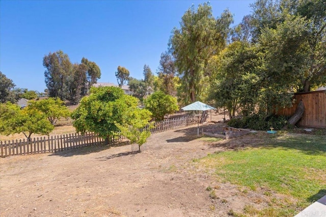 835 Minor Dr, Escondido, CA 92025 - view of yard