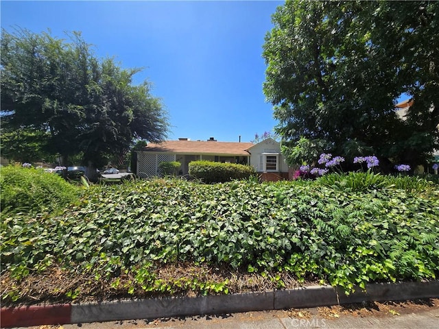 11636 Valley Spring Ln, Studio City, CA 91604 - photo 5