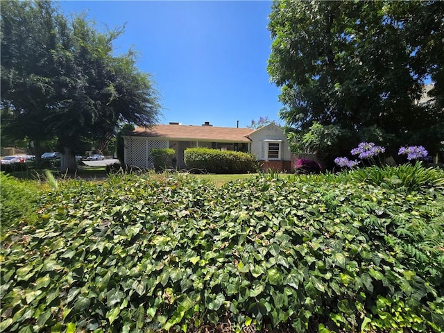 11636 Valley Spring Ln, Studio City, CA 91604 - photo 2