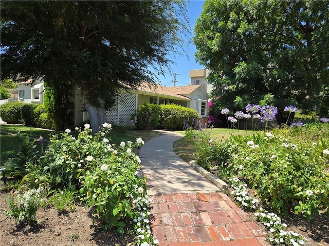 11636 Valley Spring Ln, Studio City, CA 91604 - photo 1