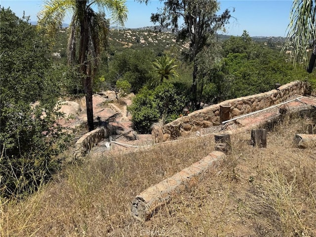 23676 Old Manzanita Rd, Valley Center, CA 92082 - photo 34