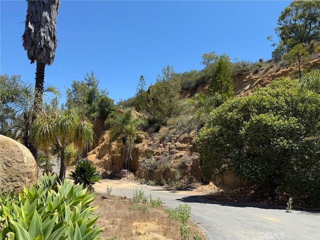 23676 Old Manzanita Rd, Valley Center, CA 92082 - photo 31