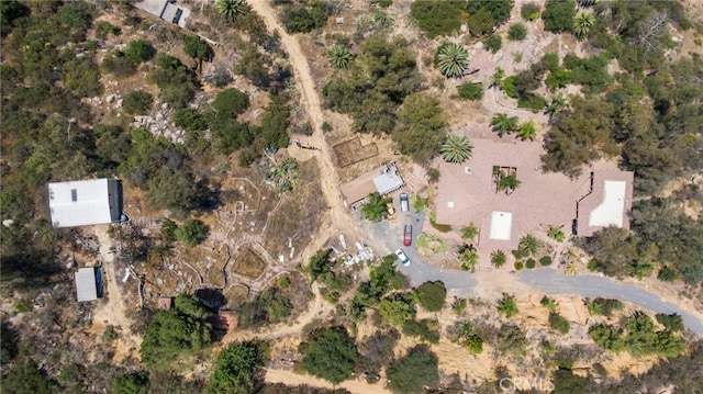 23676 Old Manzanita Rd, Valley Center, CA 92082 - photo 44