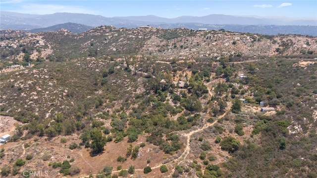 23676 Old Manzanita Rd, Valley Center, CA 92082 - photo 50
