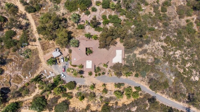 23676 Old Manzanita Rd, Valley Center, CA 92082 - photo 47