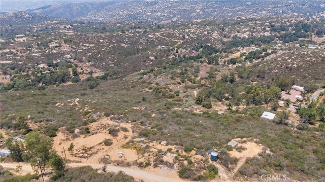 23676 Old Manzanita Rd, Valley Center, CA 92082 - photo 49