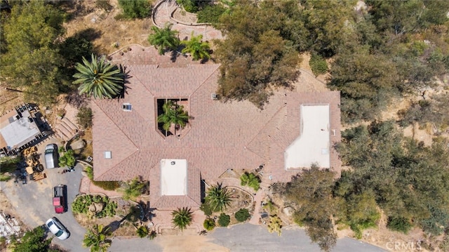 23676 Old Manzanita Rd, Valley Center, CA 92082 - photo 37