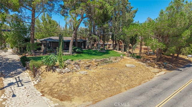 4819 Columbia Way, Lancaster, CA 93536 - photo 4