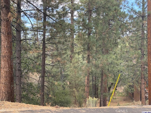 600 Travertine Rd, Big Bear, CA 92314 - photo 3