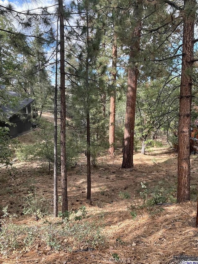 600 Travertine Rd, Big Bear, CA 92314 - photo 1