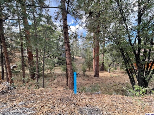 600 Travertine Rd, Big Bear, CA 92314 - photo 4