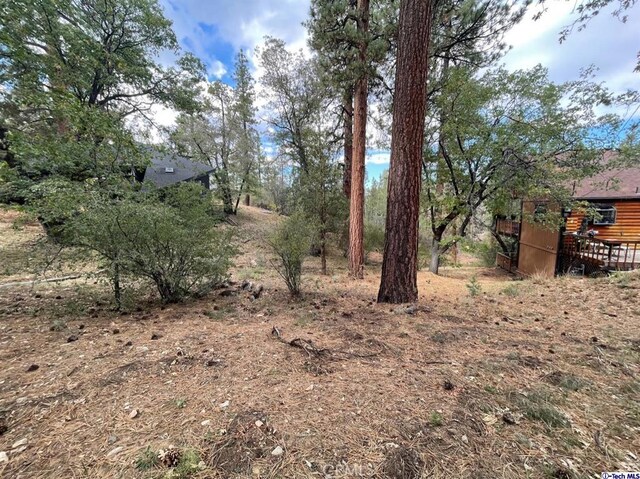 600 Travertine Rd, Big Bear, CA 92314 - photo 5