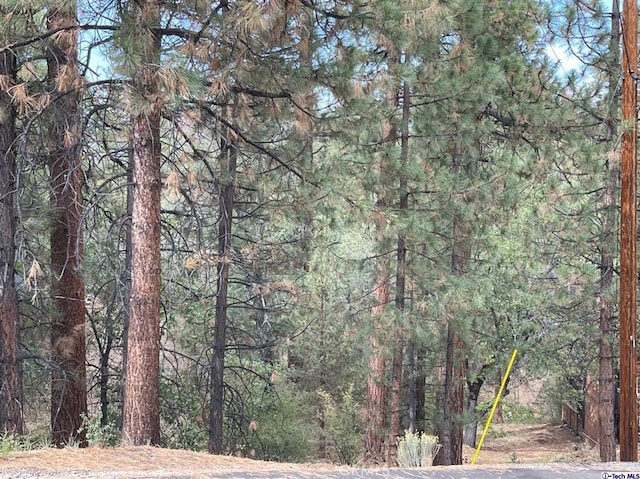 600 Travertine Rd, Big Bear, CA 92314 - photo 8